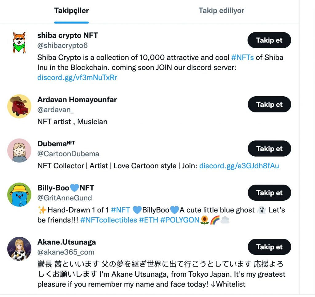 Twitter NFT volgers voorbeeld